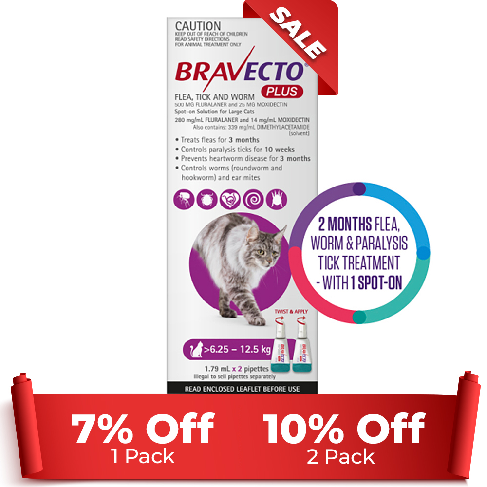 Bravecto Plus For Large Cats 6.25 – 12.5 Kg (Purple) 2 Pack