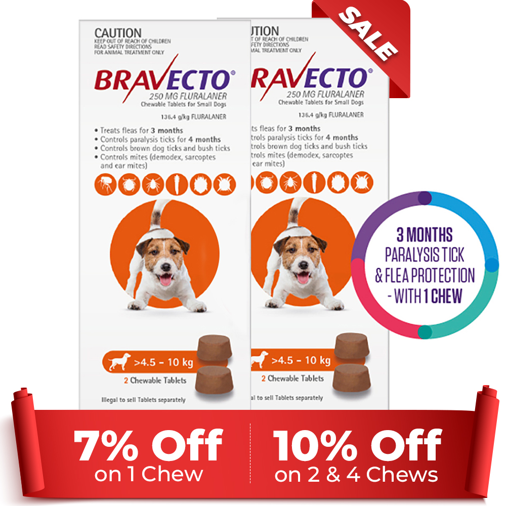 Bravecto For Small Dogs 4.5-10Kg (Orange)