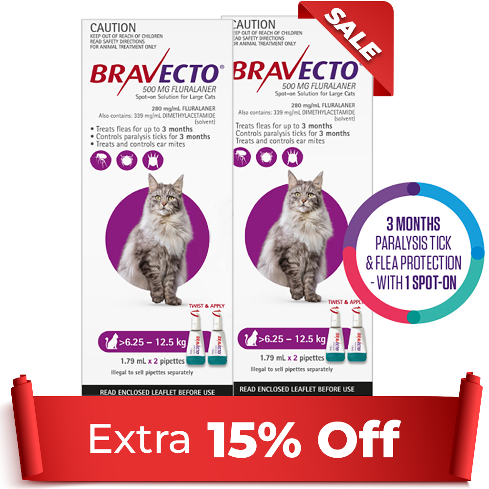 Bravecto Spot On For Large Cats (6.25 - 12.5 kg) Purple