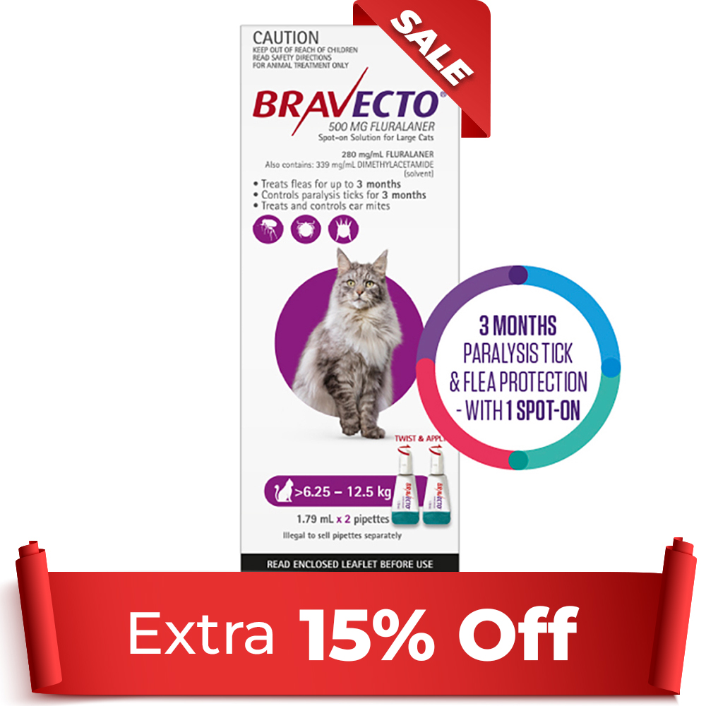 Bravecto Spot On For Large Cats (6.25 - 12.5 kg) Purple