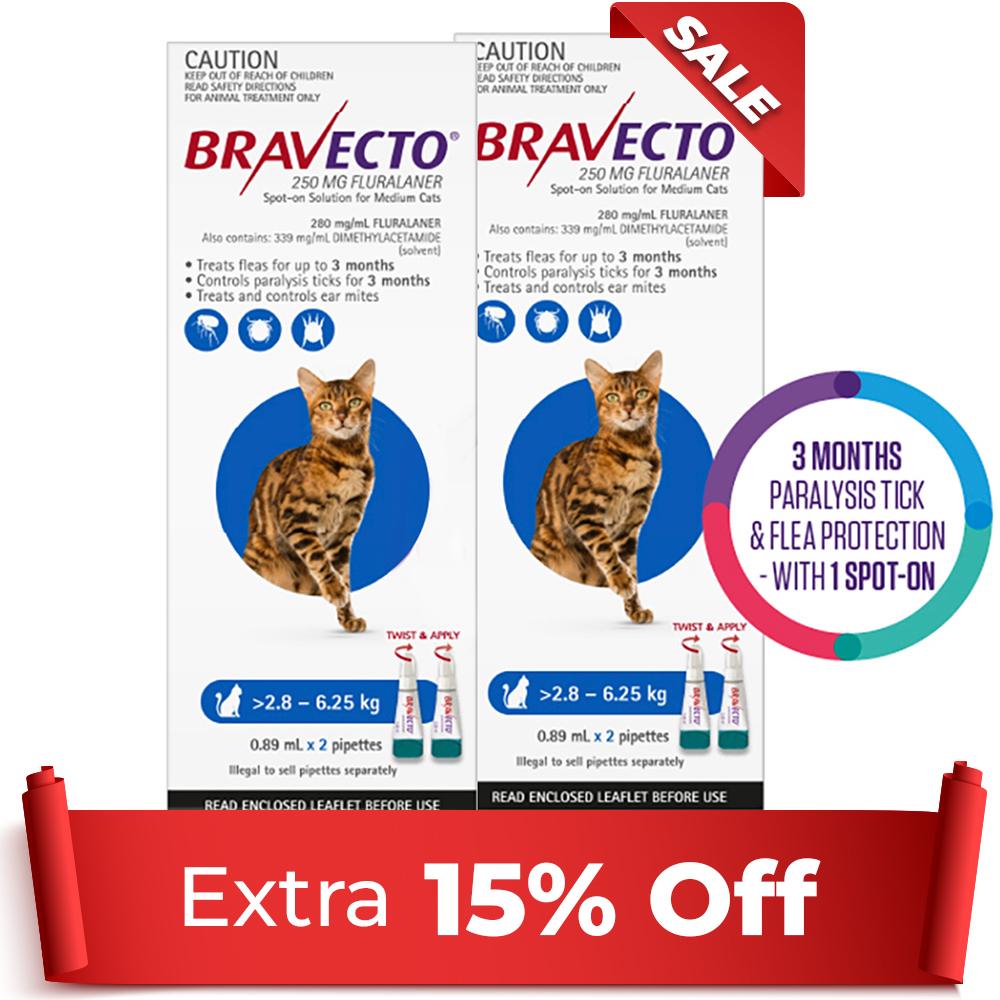 Bravecto Spot On For Medium Cats (2.8 - 6.25 kg) Blue