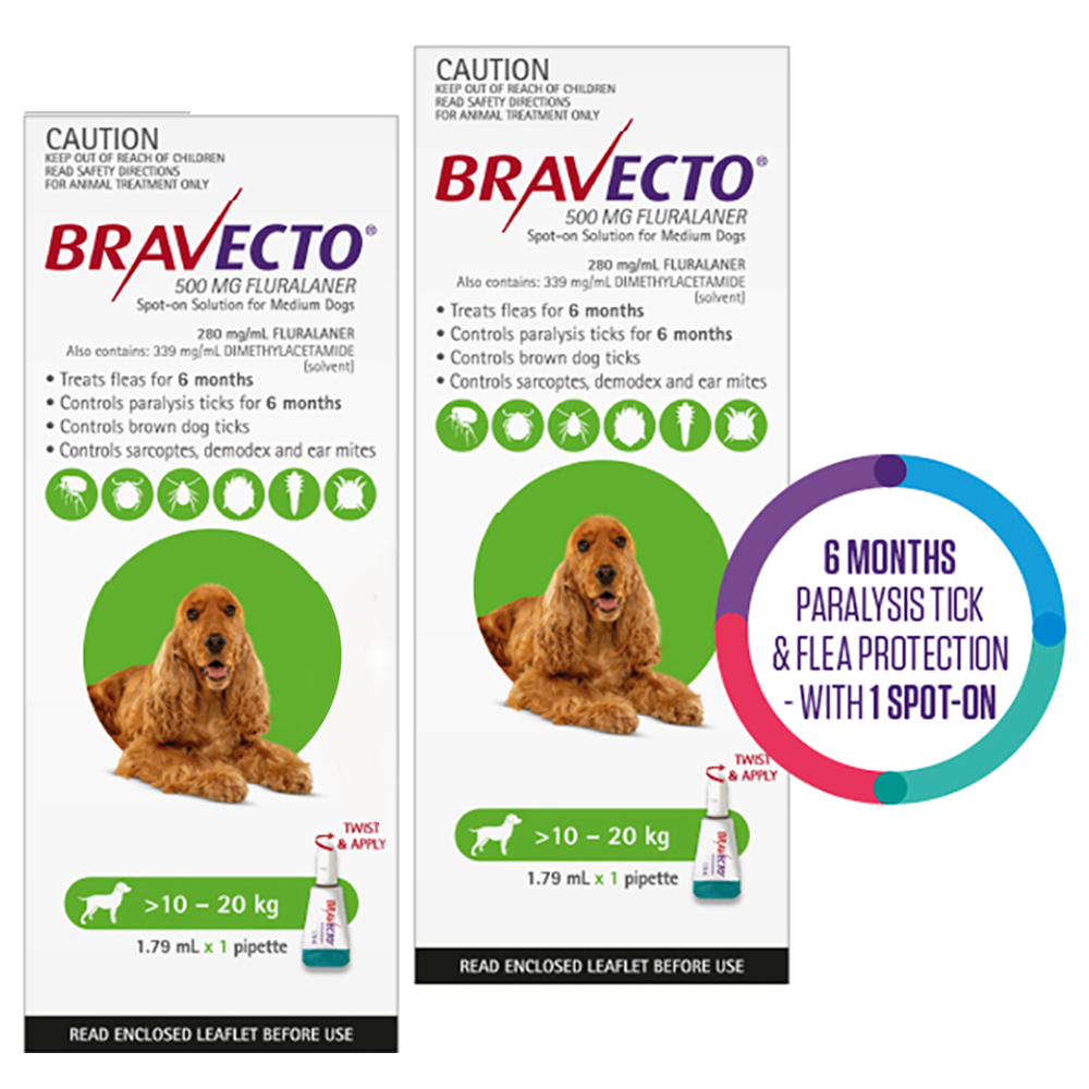 Bravecto Spot On for Medium Dogs (10 - 20 kg) Green