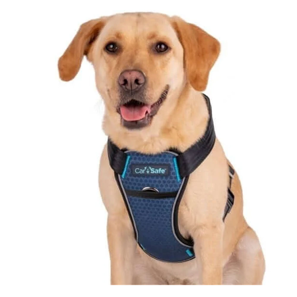 CarSafe Crash Tested Harness For Dogs Blue Large