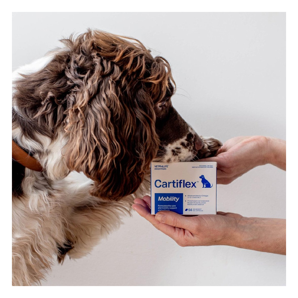 Cartiflex Mobility Support Capsules for Dogs
