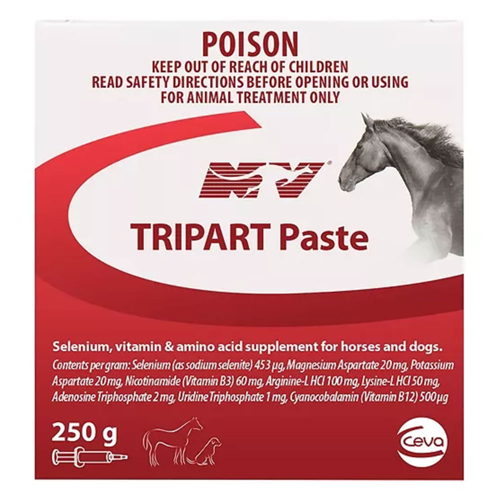 Ceva NV Tripart Paste Supplement for Horses and Dogs for Horse Supplies