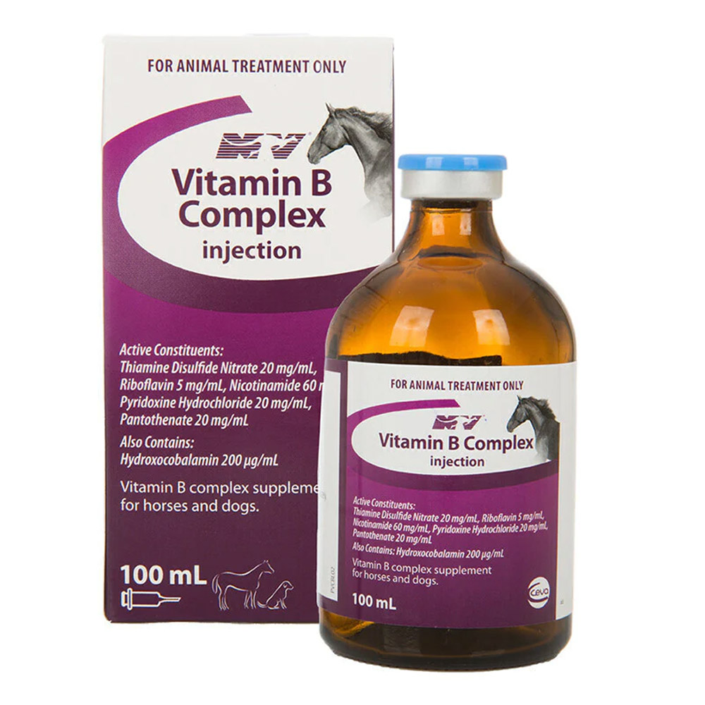 Ceva NV Vitamin B Complex Injection for Horses and Dogs for Horse Supplies
