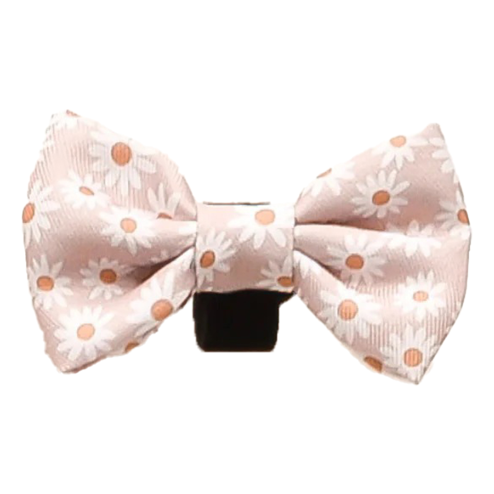 Cocopup London Bow Tie for dogs Daisy Chain