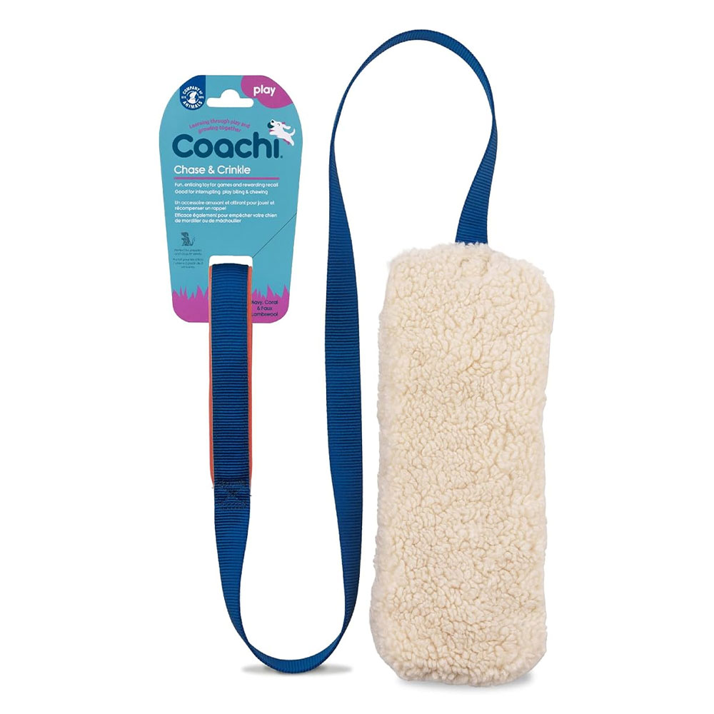 Company of Animals Coachi Play Chase & Crinkle Treats For Dogs
