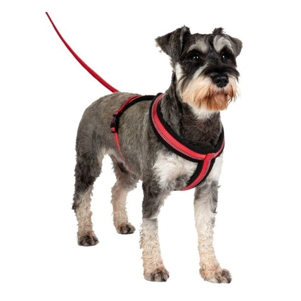 Halti - Comfy Harness for Dog Supplies