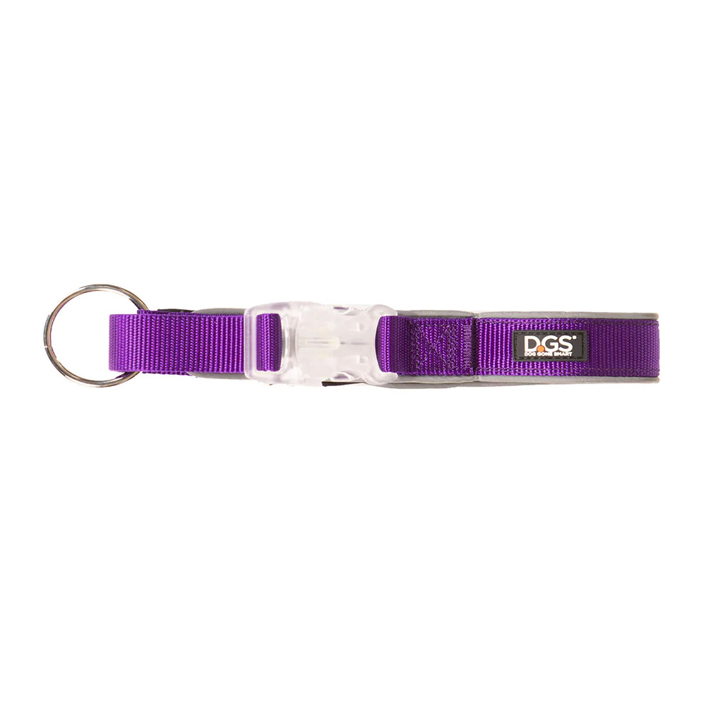 DGS Comet LED Safety Collar (Purple) Medium - 2cm x 41 - 51cm