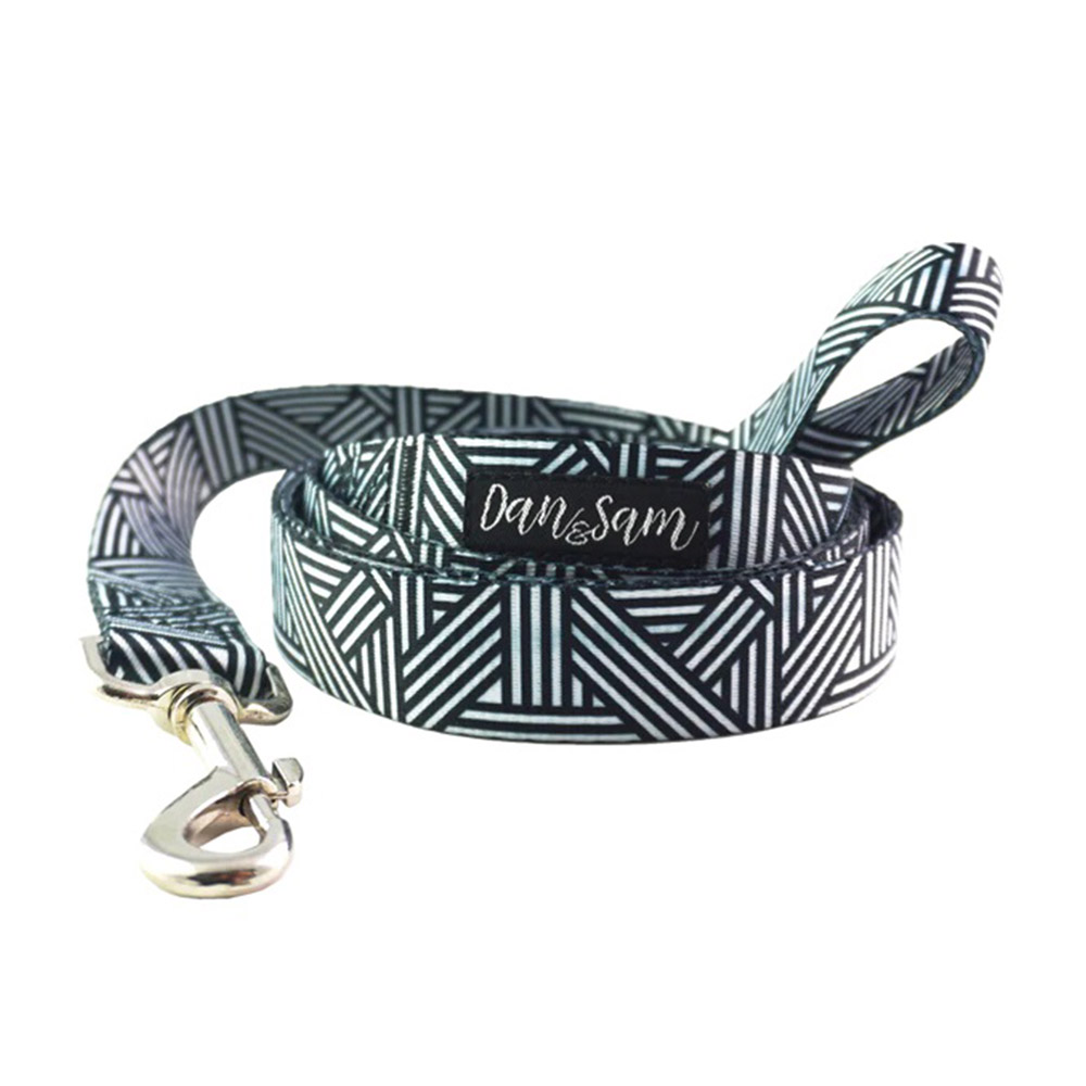 Dan & Sam Polyester Webbing Lead for Dogs - Abstract