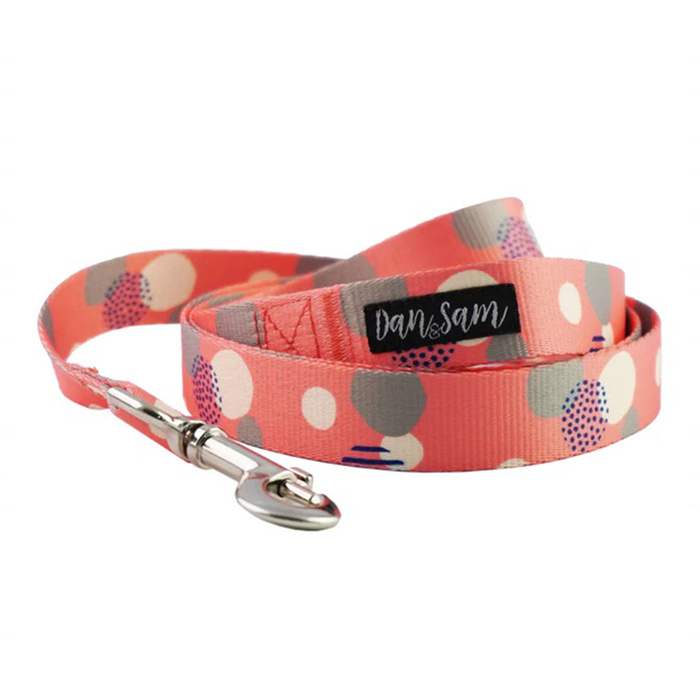Dan & Sam Polyester Webbing Lead for Dogs - Fabulous