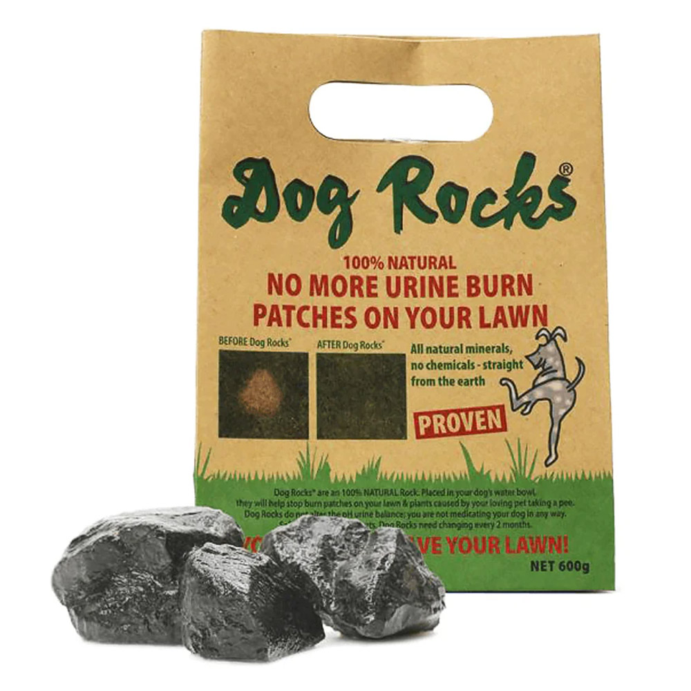 Dog Rocks No More Urine Burn Patches on Your Lawn