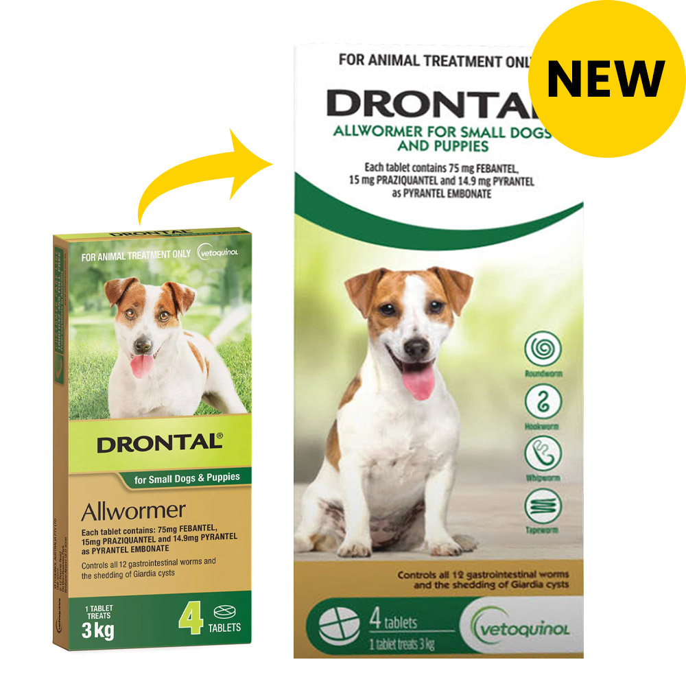 Drontal puppy worming syrup sales