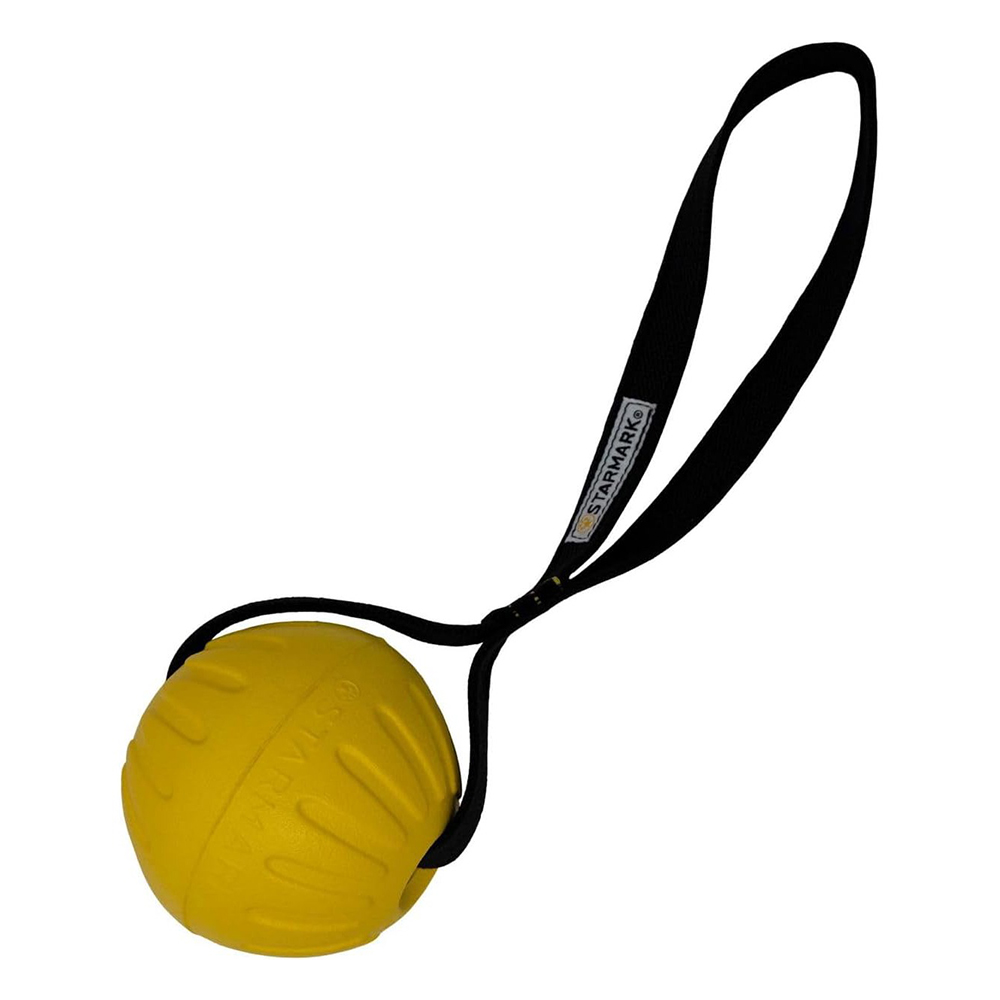 Starmark GripCord DuraFoam Ball with Loop Toys for Dogs