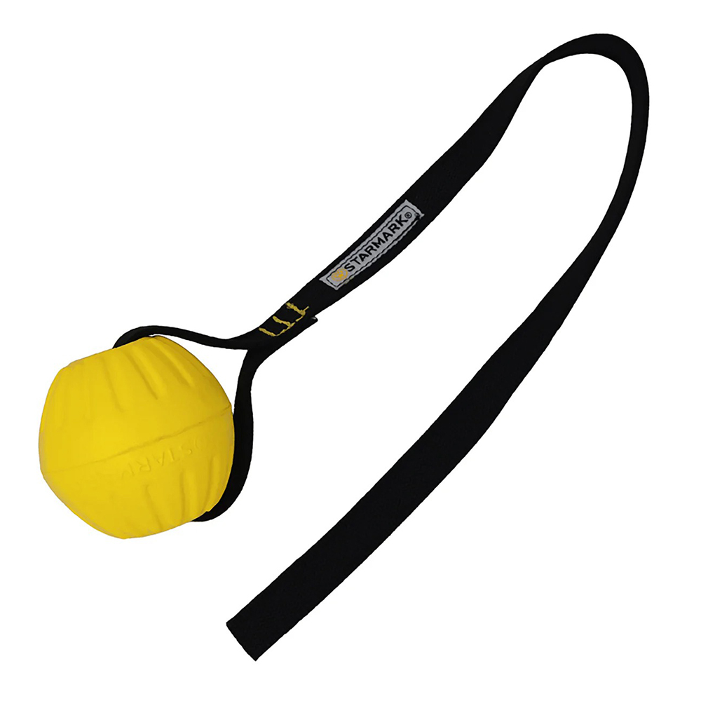 Starmark GripCord DuraFoam Ball with Cord Toys for Dogs