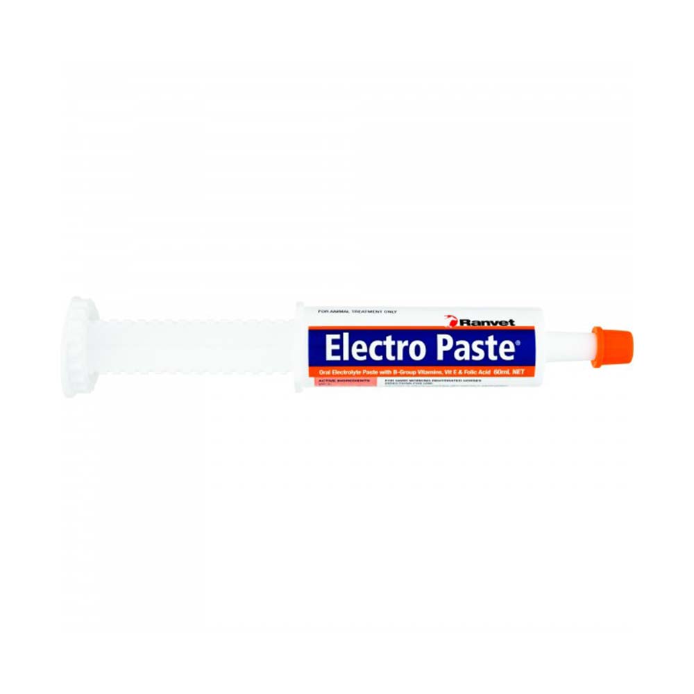 Ranvet Electro Paste for Horse Supplies