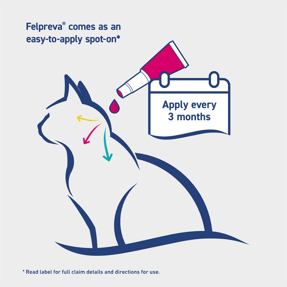 Felpreva Spot-On for Medium Cats 2.5 to 5kg