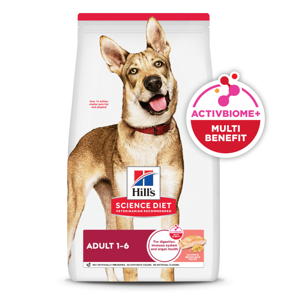 Hill's Science Diet Adult Salmon Dry Dog Food