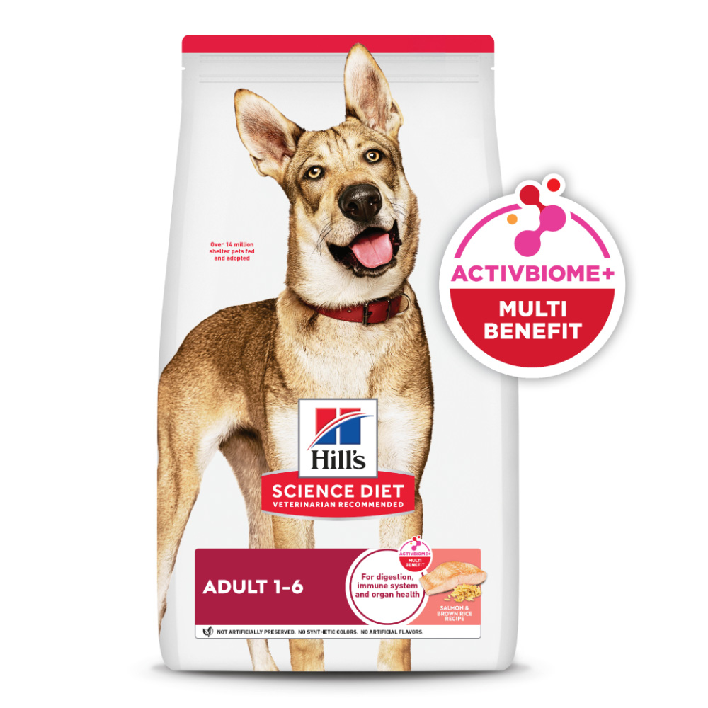 Hill's Science Diet Adult Salmon Dry Dog Food
