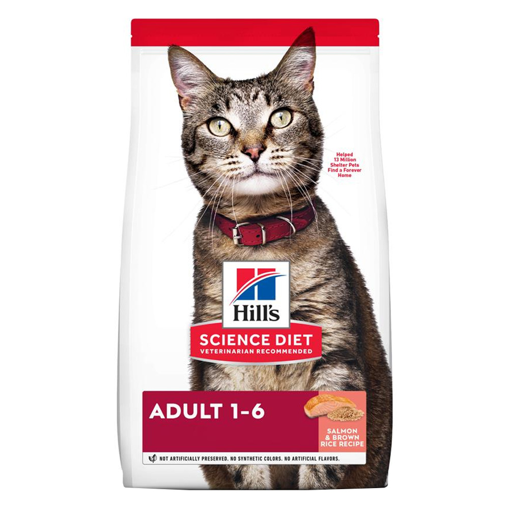 Hill's Science Diet Adult Salmon Dry Cat Food