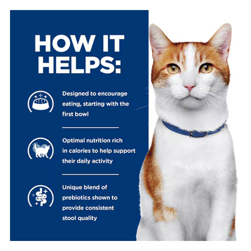 Hill's Prescription Diet ONC Care Nourish & Support with Chicken Dry Cat Food