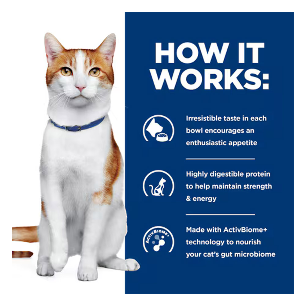 Hill's Prescription Diet ONC Care Nourish & Support with Chicken Dry Cat Food