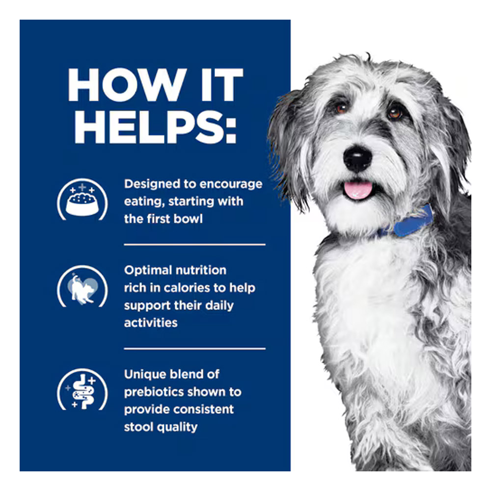 Hill's Prescription Diet ONC Care Nourish & Support Chicken & Vegetable Stew Wet Dog Food 354gm