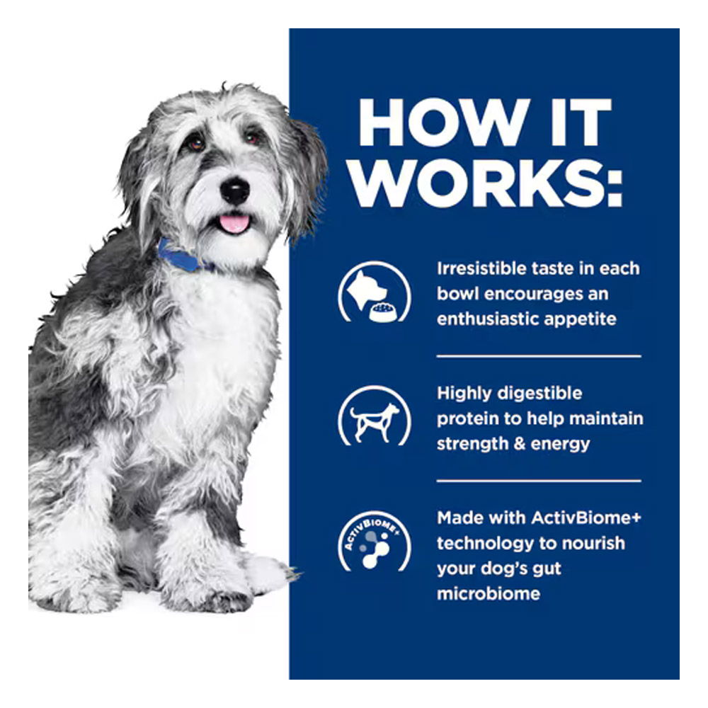 Hill's Prescription Diet ONC Care Nourish & Support with Chicken Dry Dog Food