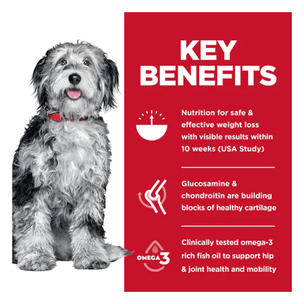 Hill's Science Diet Perfect Weight & Joint Support Adult Chicken & Brown Rice Recipe Dry Dog Food