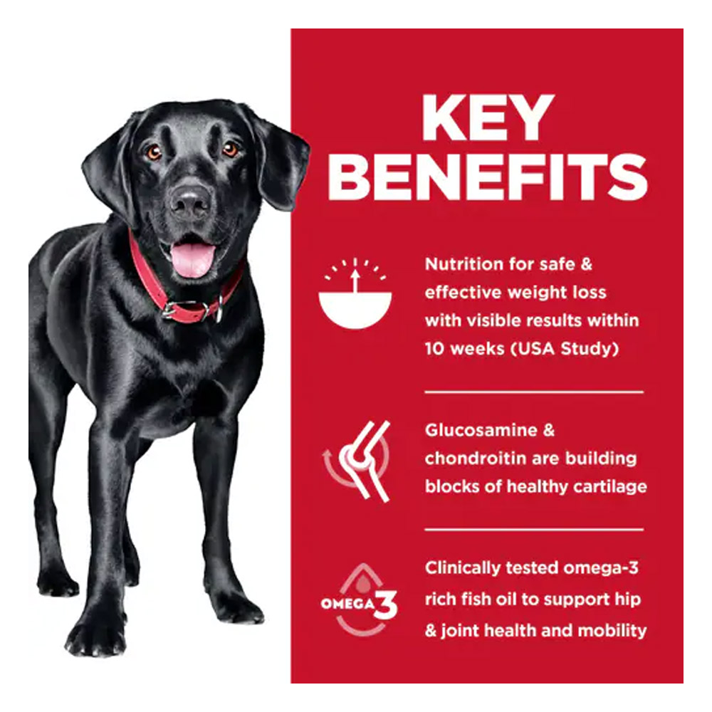 Hill's Science Diet Perfect Weight & Joint Support Large Breed Adult Chicken & Brown Rice Recipe Dry Dog Food