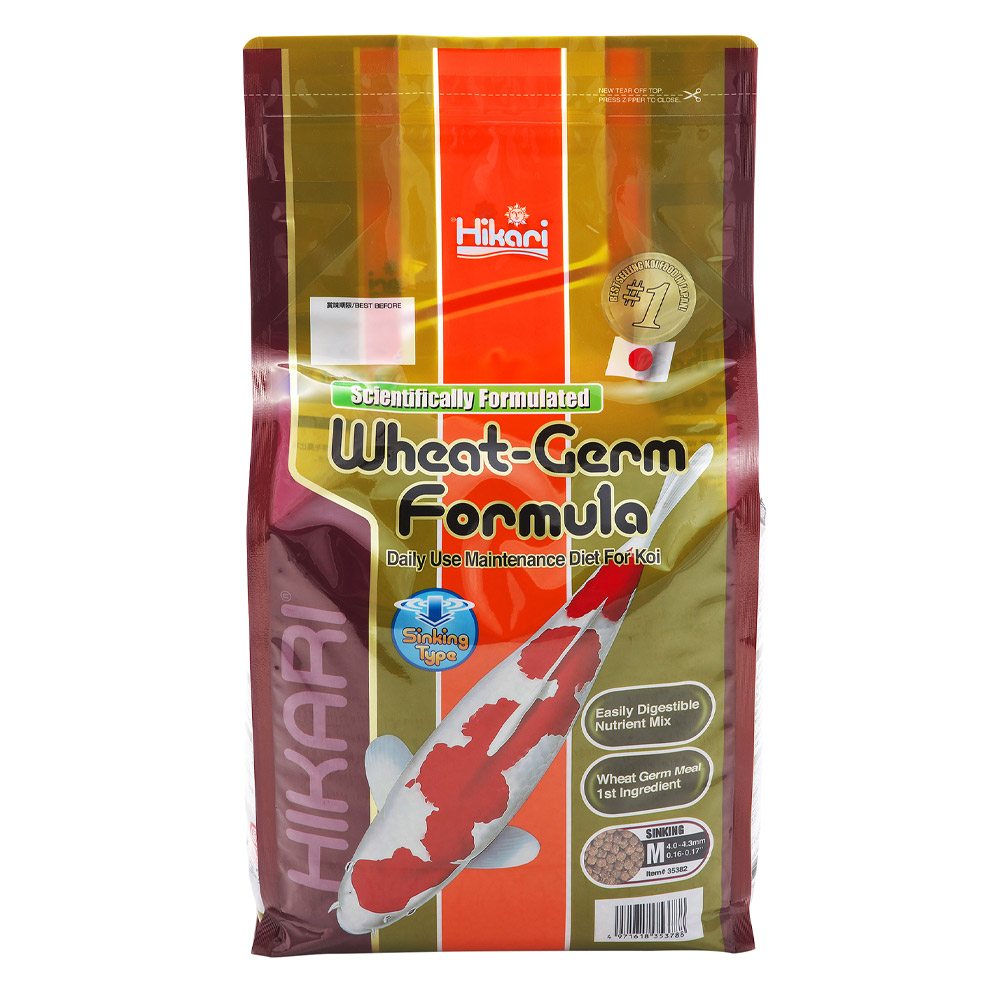 Hikari Wheat-Germ Formula Sinking Daily Maintenance Koi Fish Food - Medium