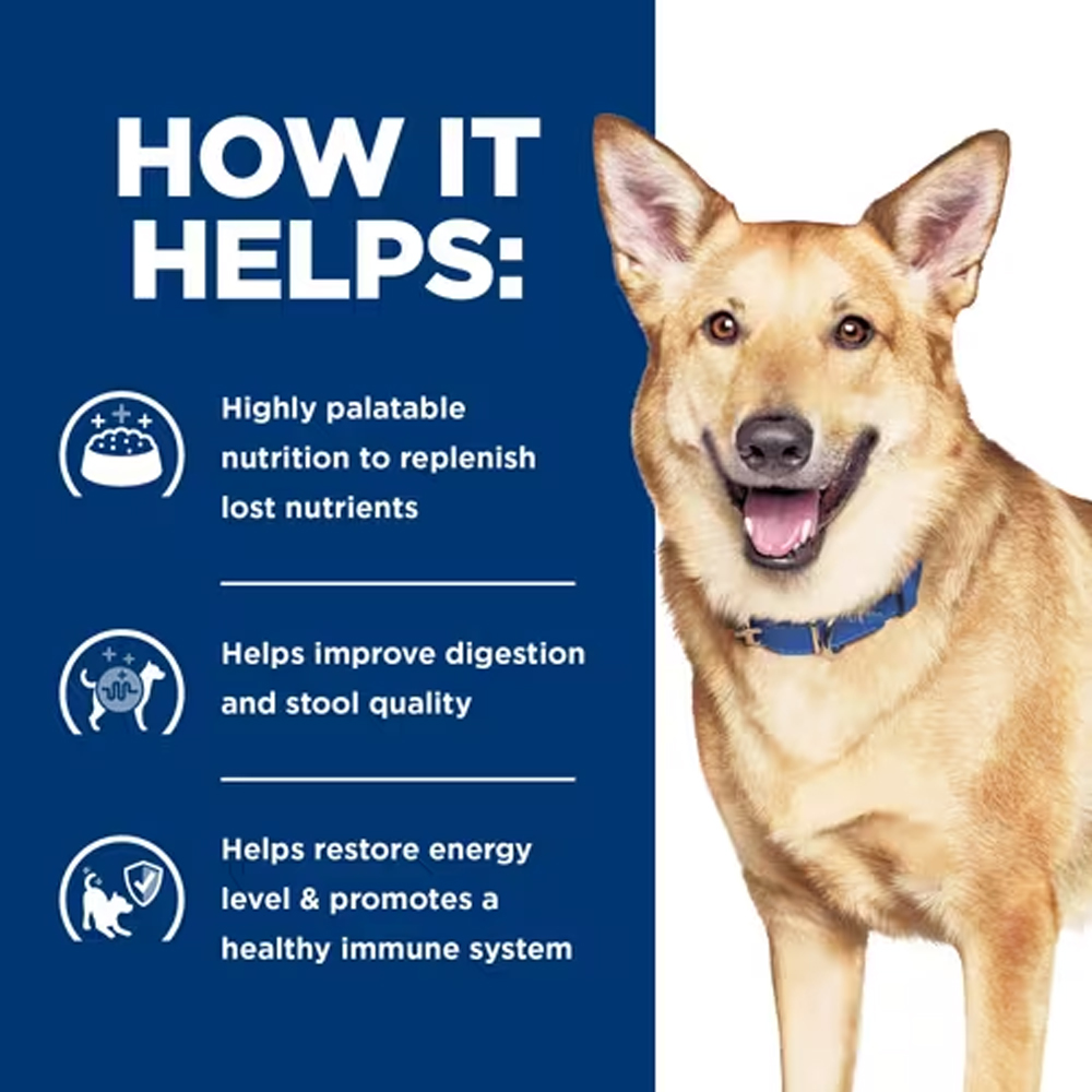 Hill's Prescription Diet Canine i/d Digestive Care Chicken & Vegetable Stew Wet Dog Food 156gm
