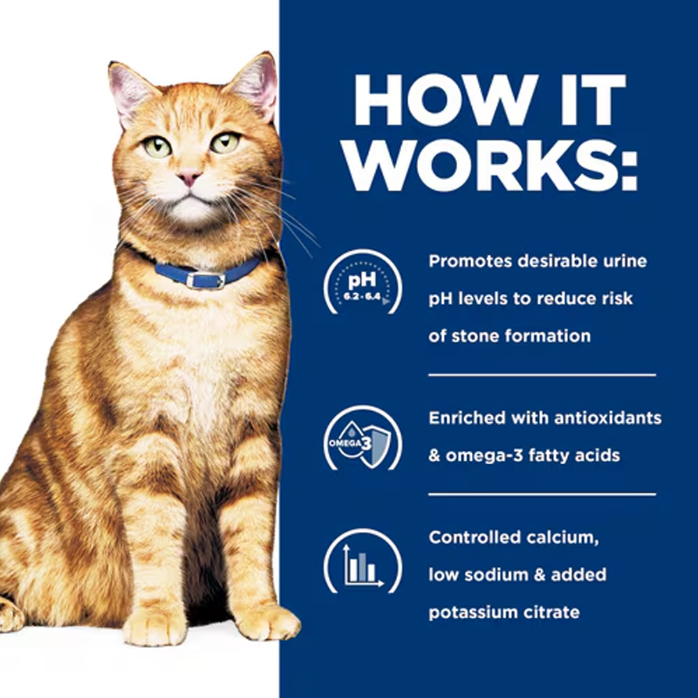 Hill's Prescription Diet c/d Multicare Urinary Care Tender Chunks in Gravy with Chicken Wet Cat Food 85gm