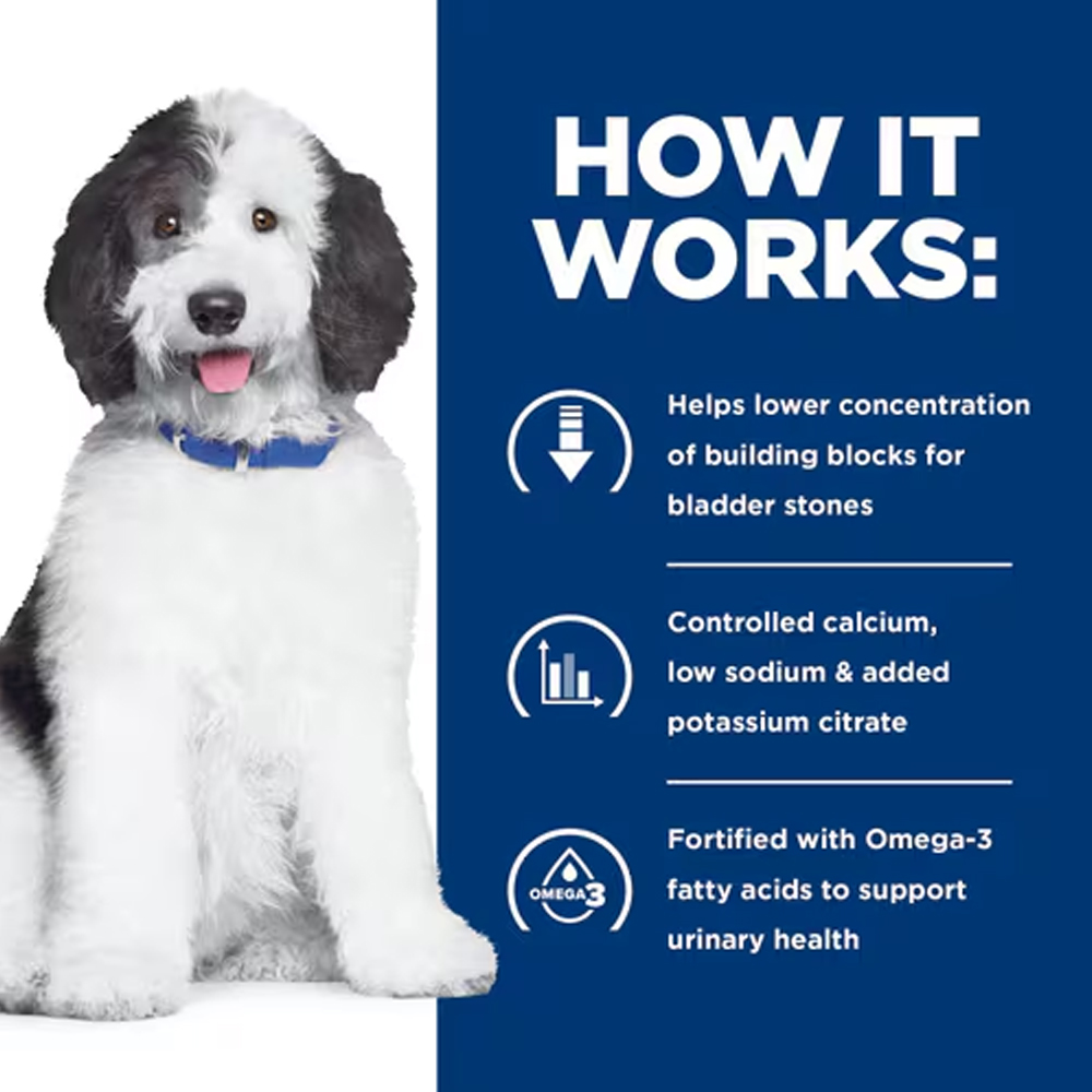 Hill's Prescription Diet c/d Multicare Urinary Care with Chicken Wet Dog Food 370gm