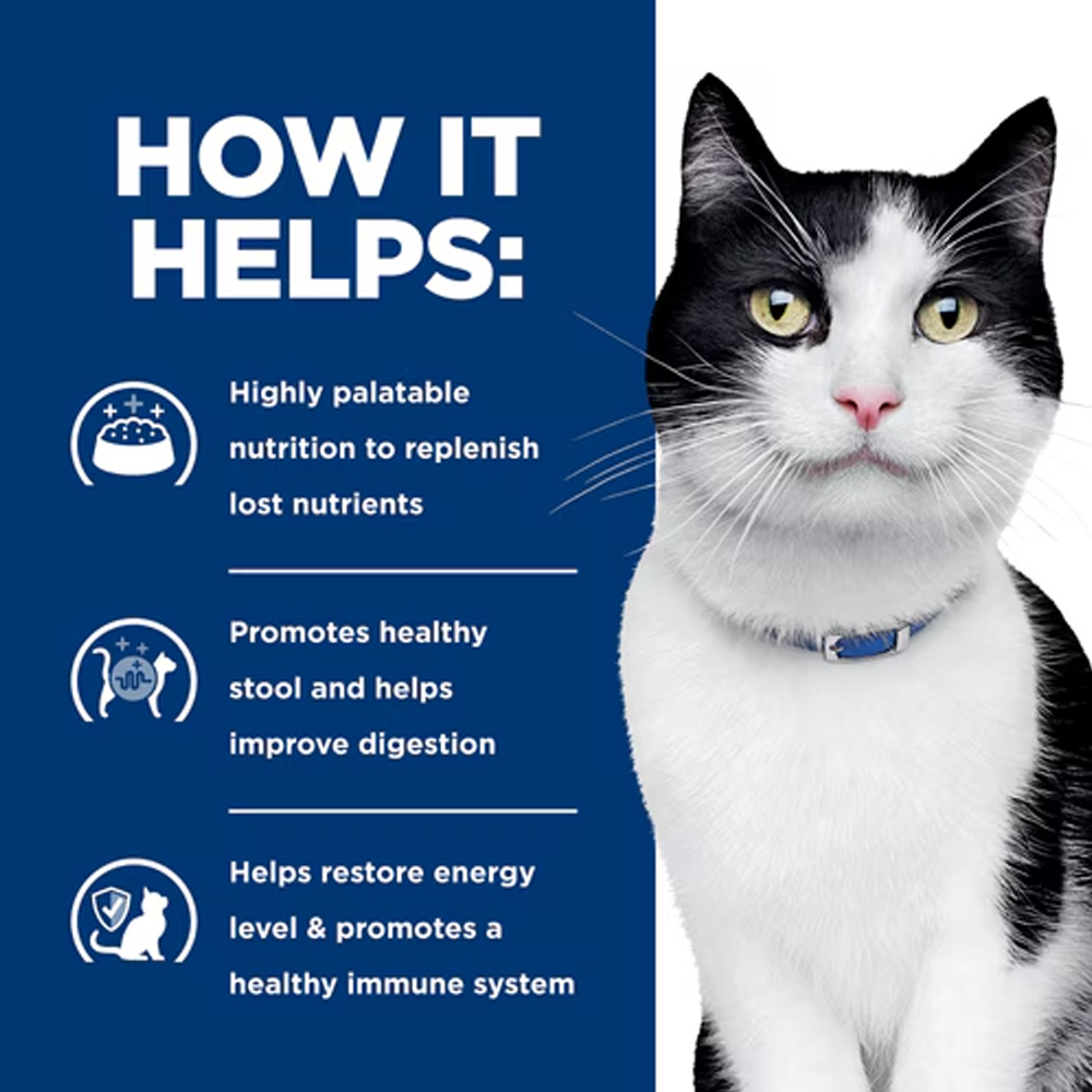 Hill's Prescription Diet i/d Digestive Care Tender Chunks in Gravy with Chicken Wet Cat Food 85gm