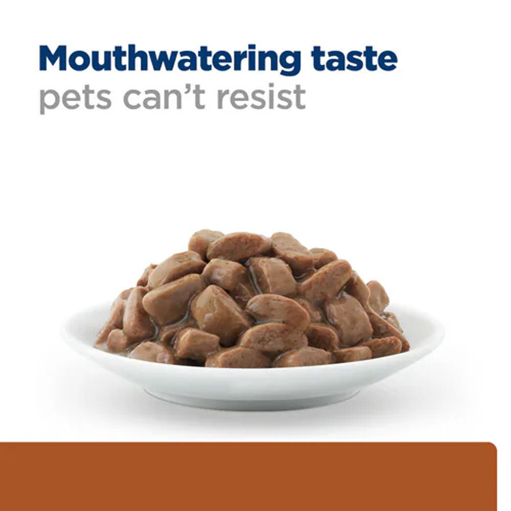 Hill's Prescription Diet k/d Kidney Care Tender Chunks in Gravy with Salmon Wet Cat Food 85gm