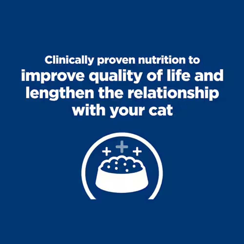 Hill's Prescription Diet k/d Kidney Care Tender Chunks in Gravy with Salmon Wet Cat Food 85gm