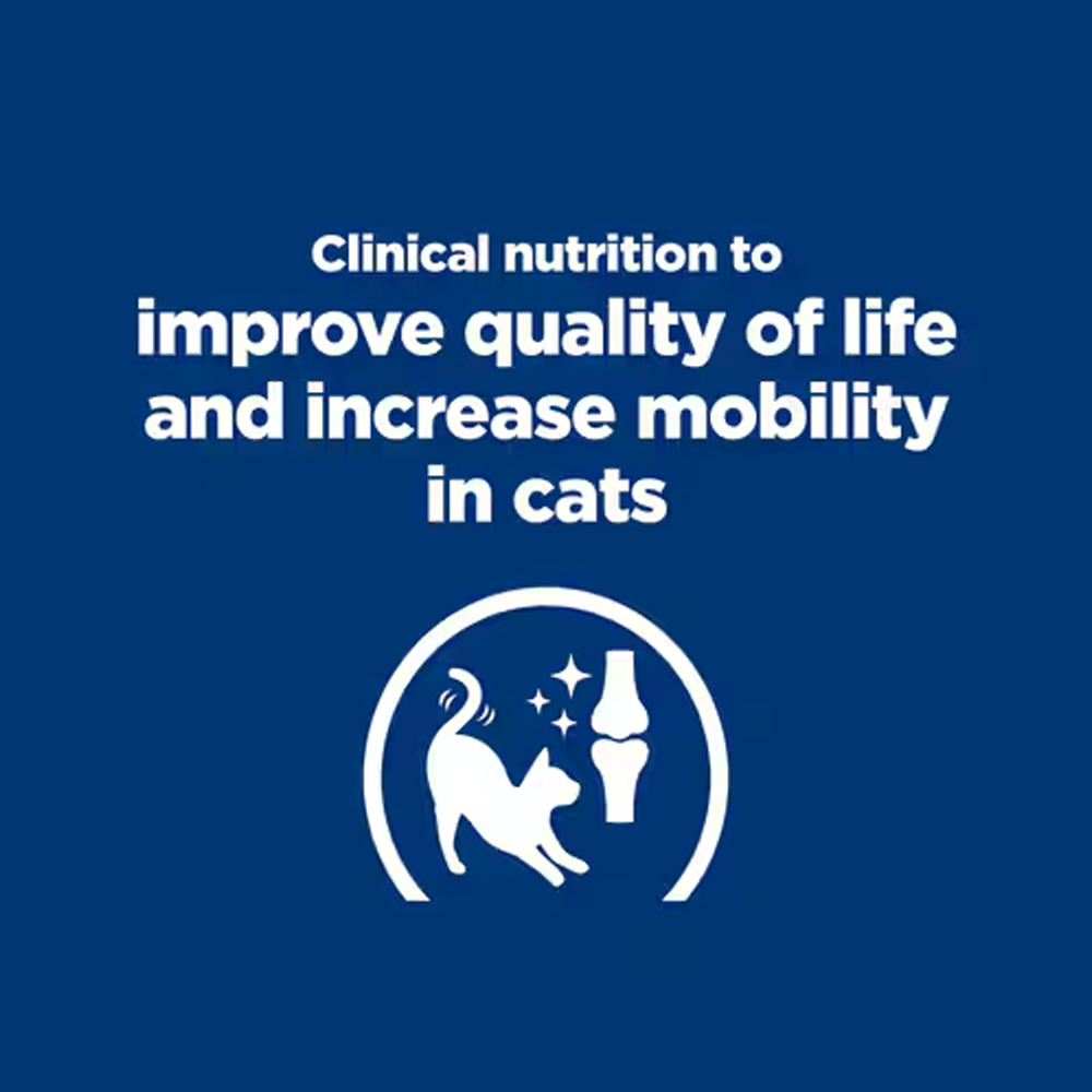 Hill's Prescription Diet k/d Kidney + j/d Mobility Chicken Flavour Dry Cat Food