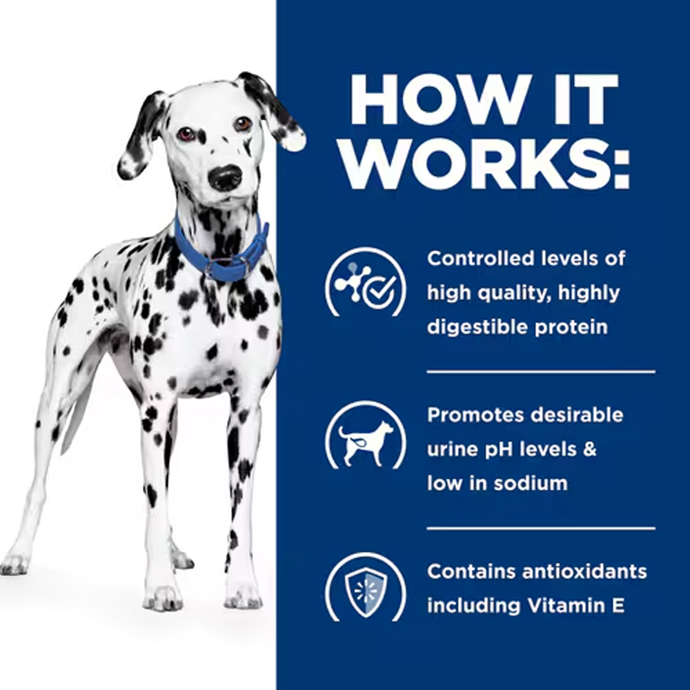 Hill's Prescription Diet u/d Urinary Care Original Flavour Wet Dog Food 370gm