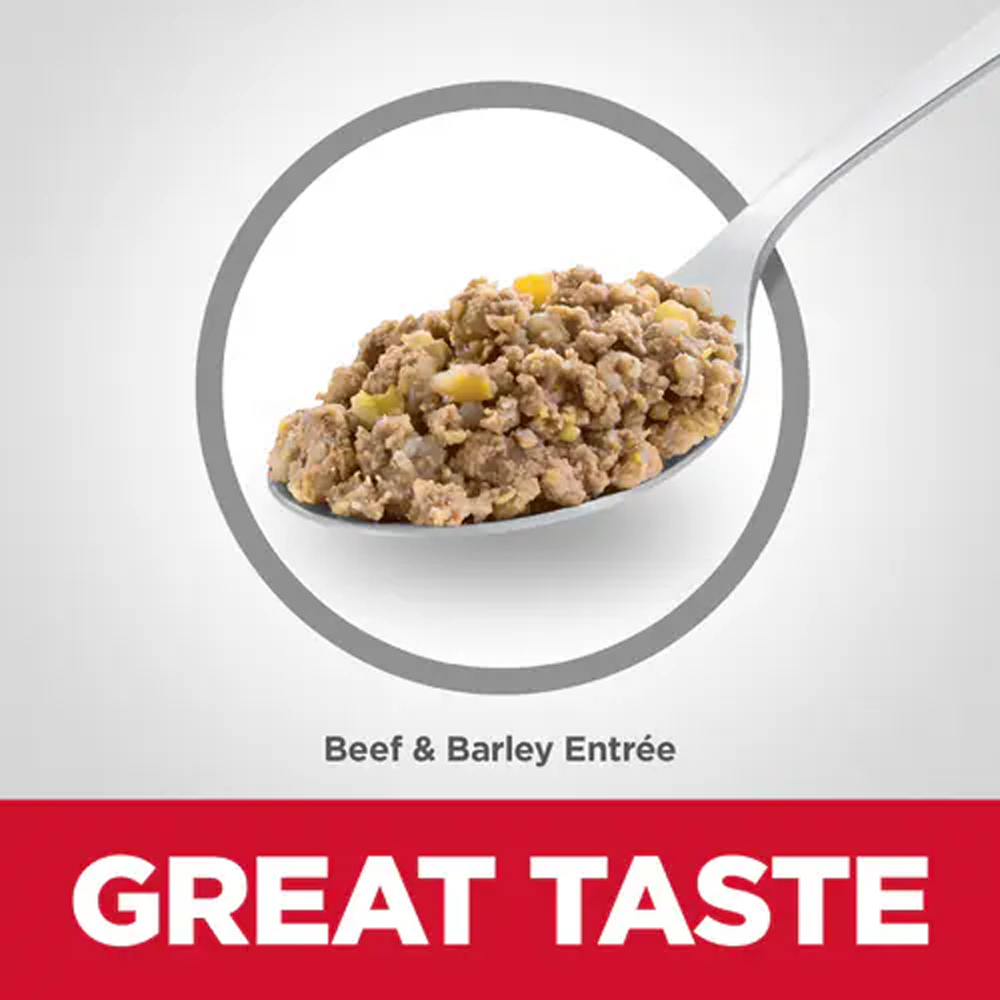 Hill's Science Diet Adult 1-6 Beef & Barley Entree Wet Dog Food 370gm