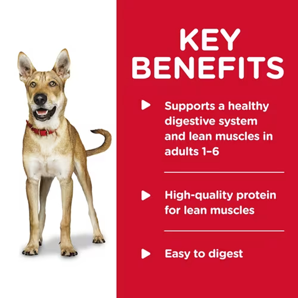 Hill's Science Diet Adult 1-6 Savory Stew with Beef & Vegetables Wet Dog Food 363gm