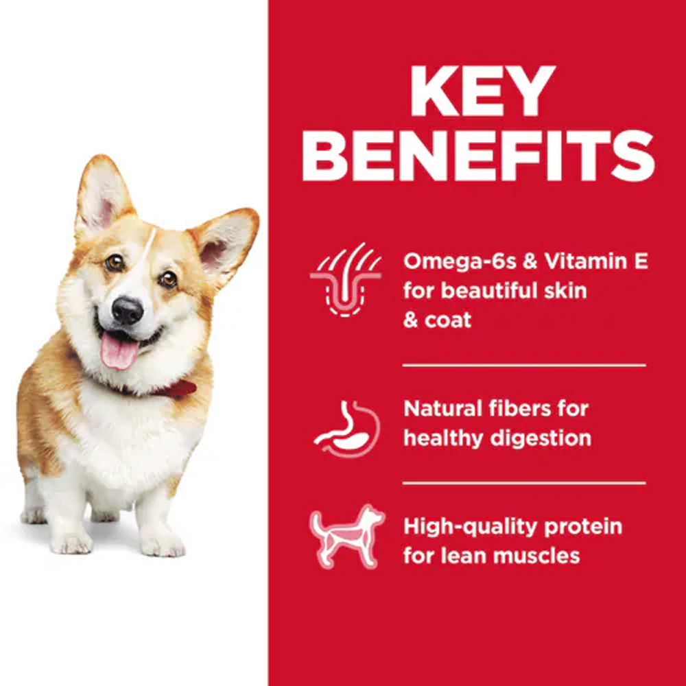 Hill's Science Diet Adult 1-6 Small Bites Chicken & Barley Recipe Dry Dog Food