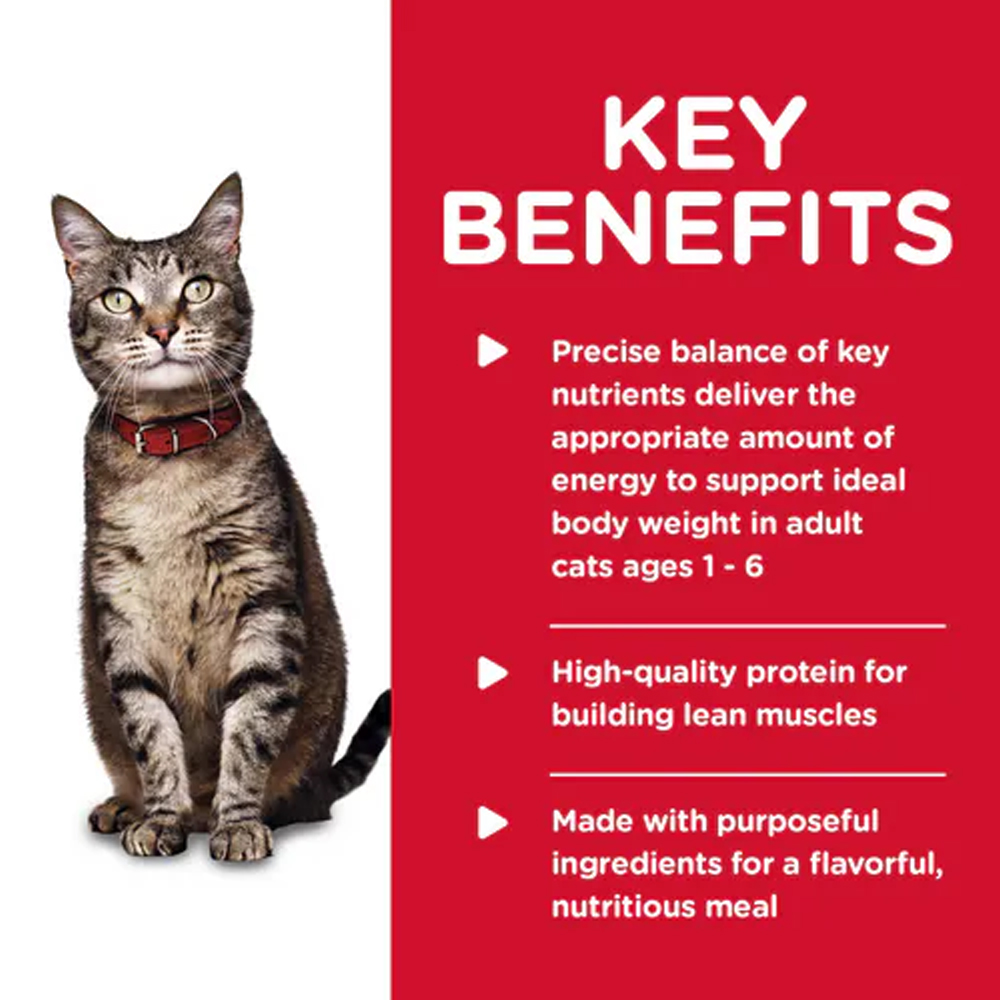 Hill's Science Diet Adult 1-6 Tender Chicken Dinner Wet Cat Food 156gm