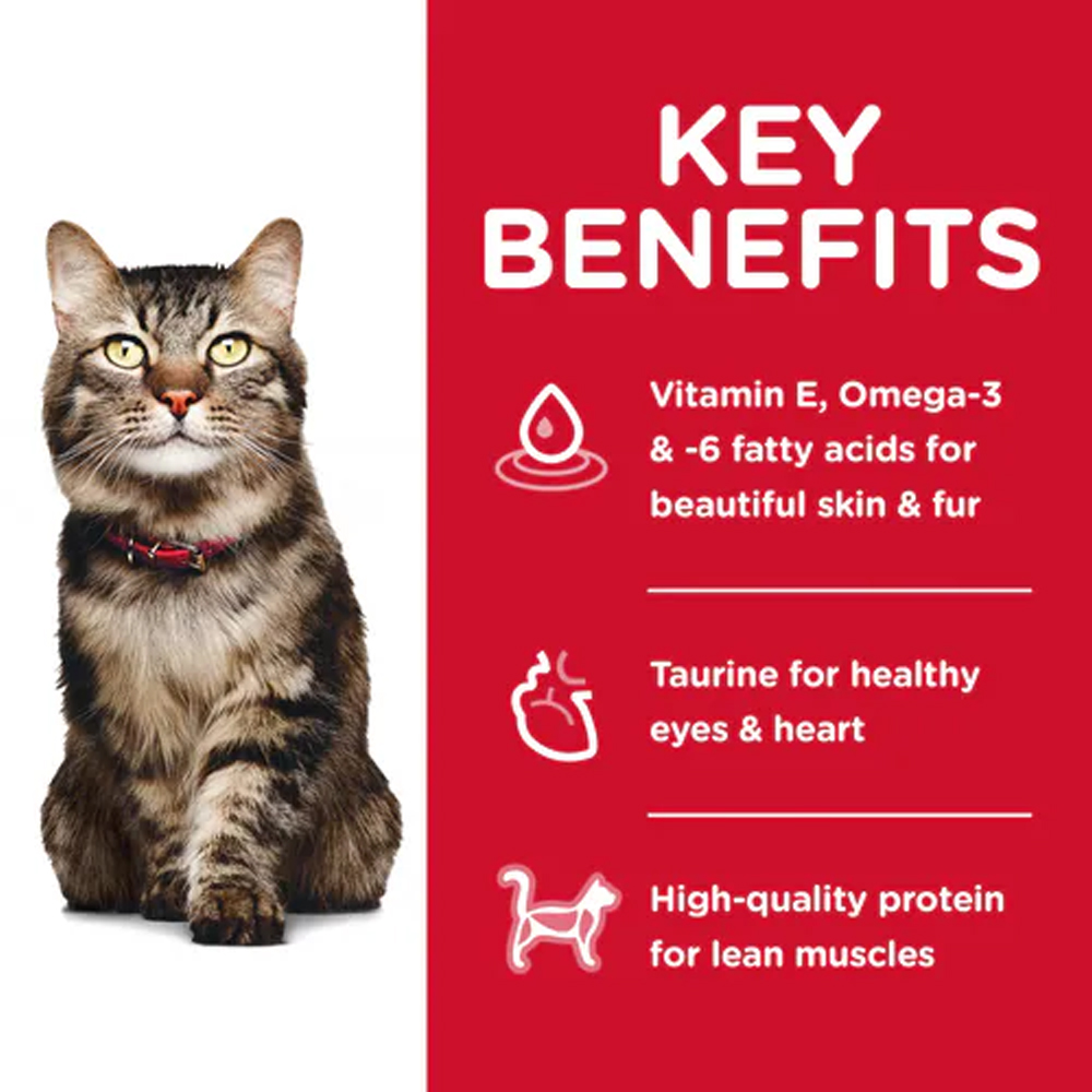 Hill's Science Diet Hairball Control Adult 7+ Chicken Recipe Dry Cat Food
