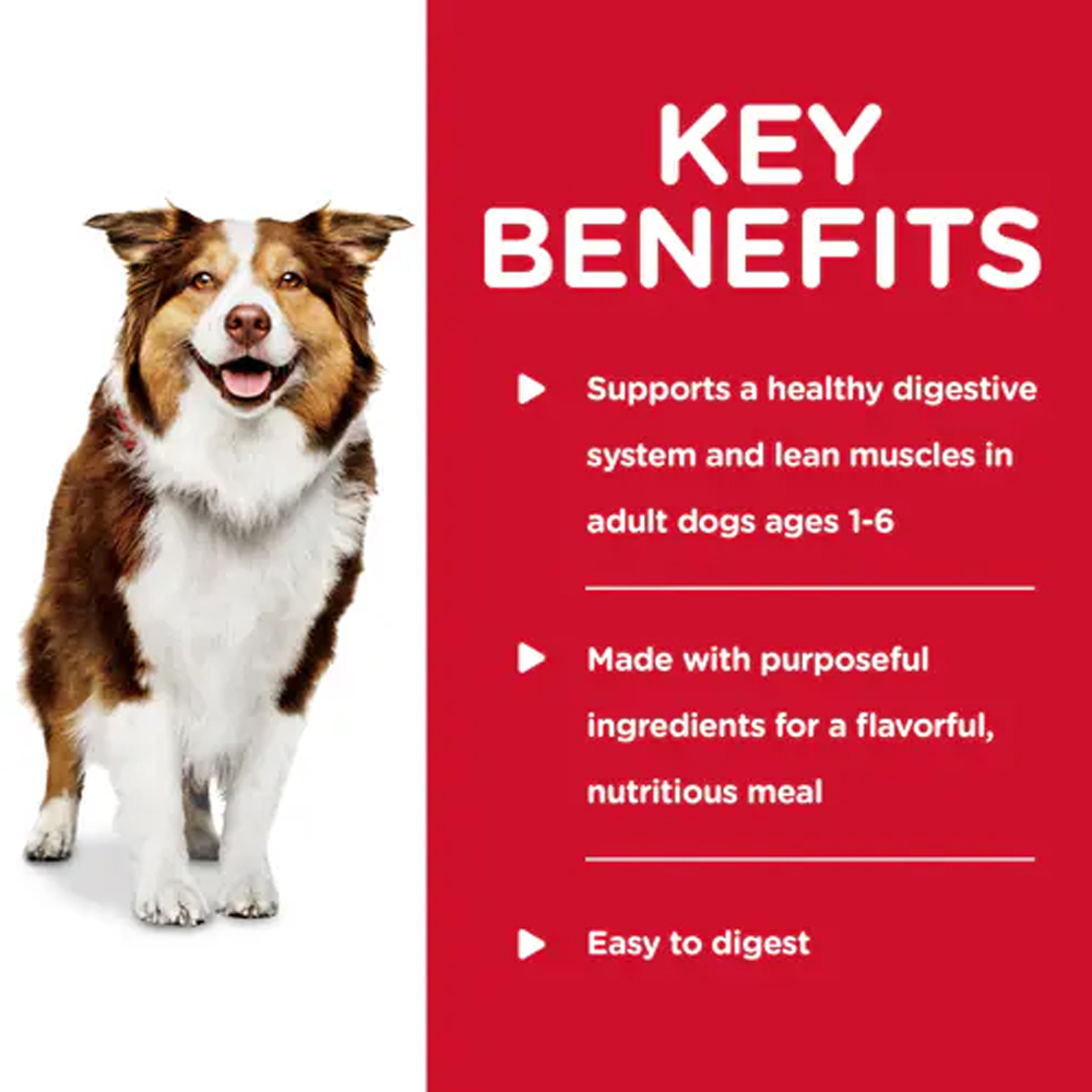 Hill's Science Diet Healthy Cuisine Adult 1-6 Braised Beef, Carrots & Peas Stew Wet Dog Food 354gm