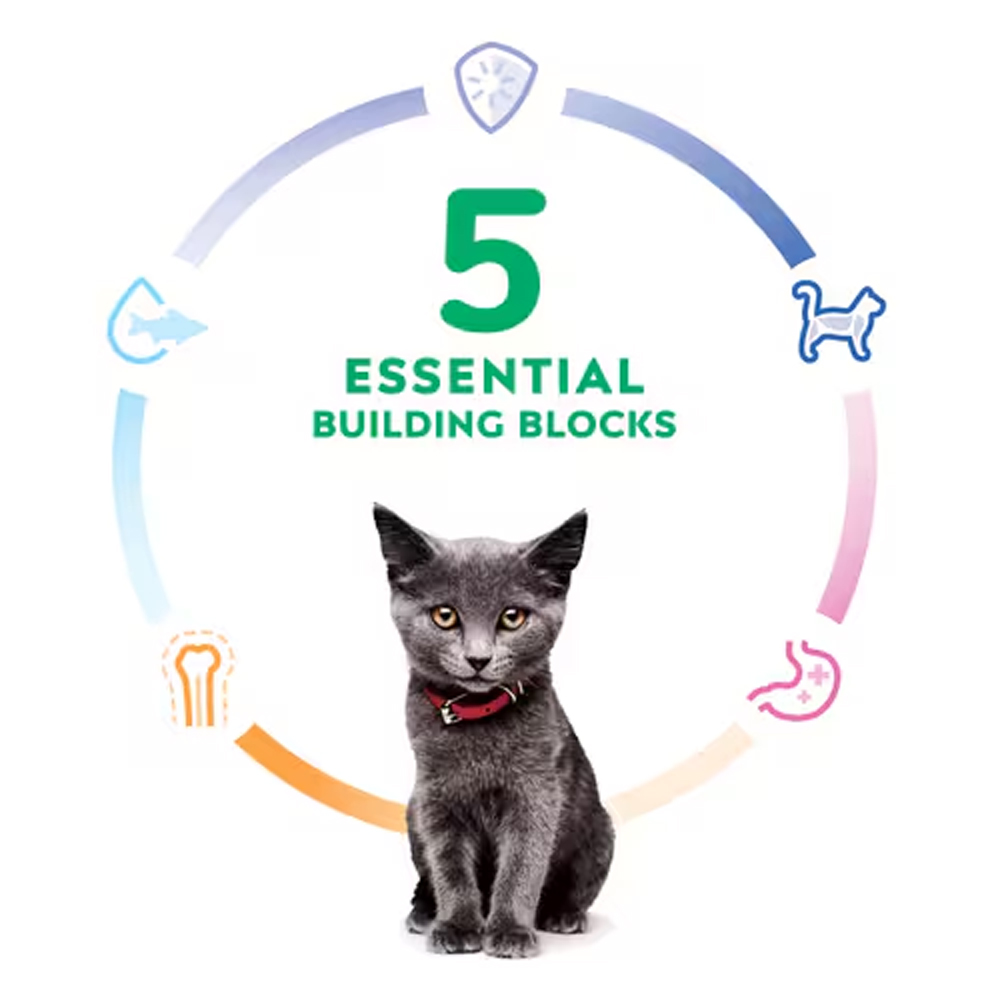 Hill's Science Diet Indoor Kitten Chicken Recipe Dry Cat Food