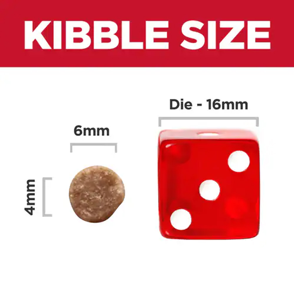 Hill's Science Diet Kitten Chicken Recipe Dry Cat Food