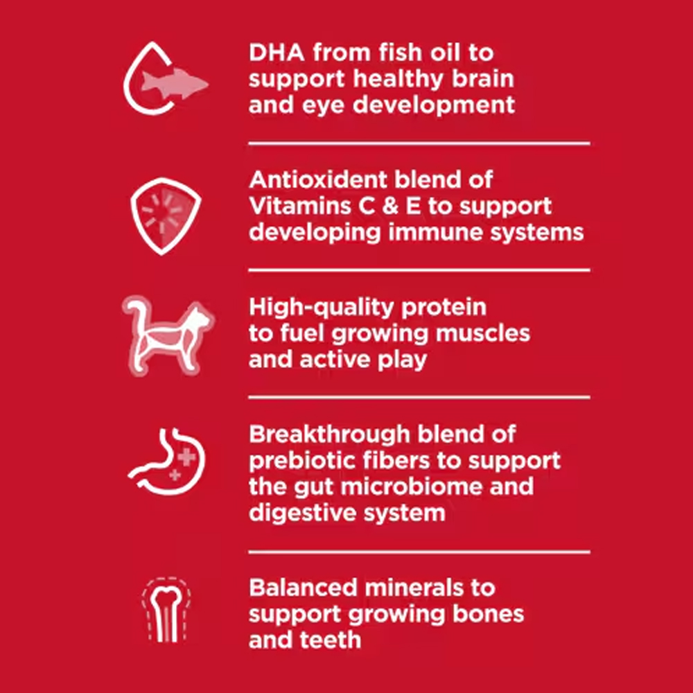 Hill's Science Diet Kitten Chicken Recipe Dry Cat Food