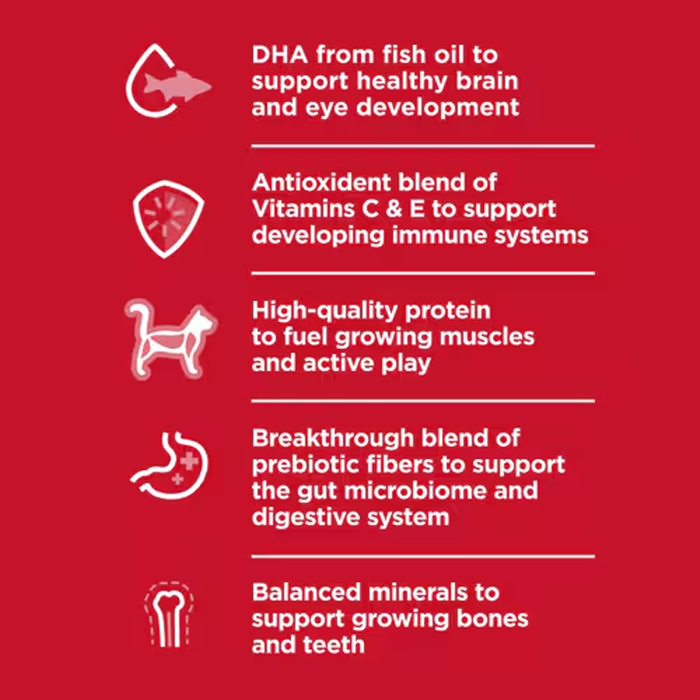 Hill's Science Diet Kitten Healthy Cuisine Tender Chicken & Rice Medley Wet Cat Food 79gm